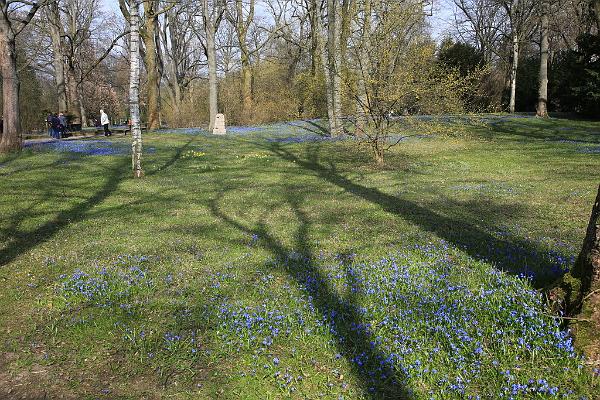 2017-03-26 14-38-46.JPG